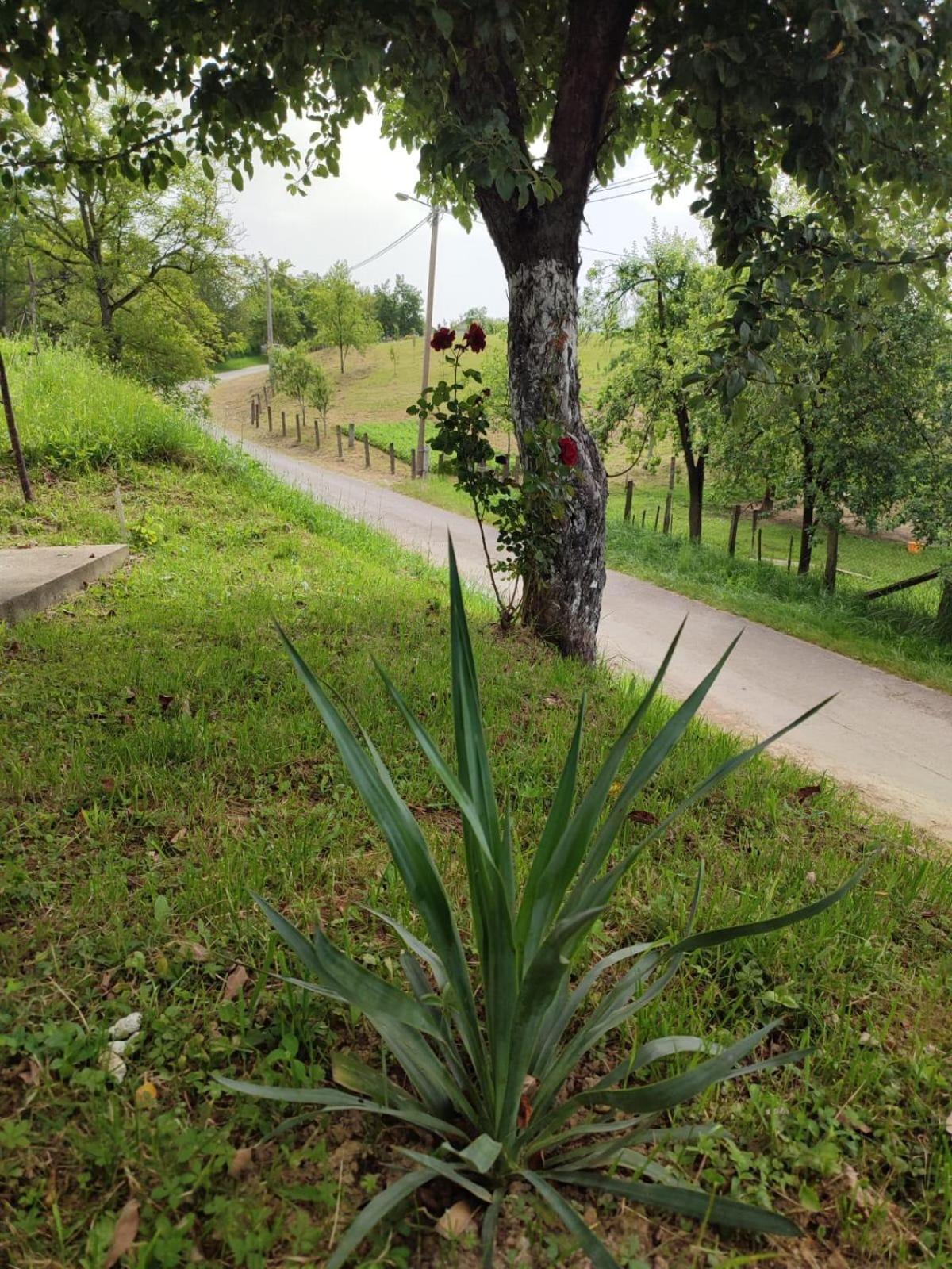 Apartman-Vikendica Mihajlovic Banja Luka Exteriér fotografie